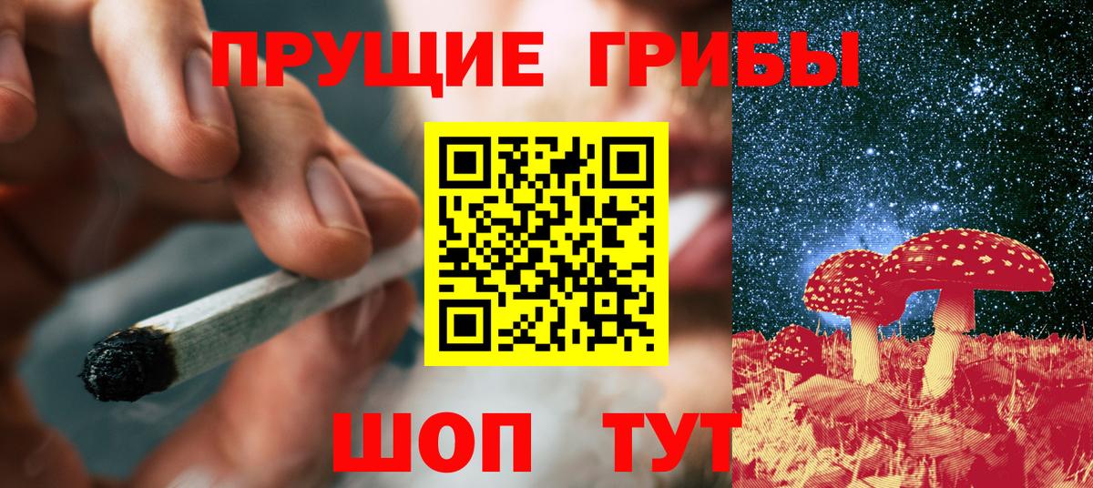 Псилоцибиновые грибы GOLDEN TEACHER Шахты